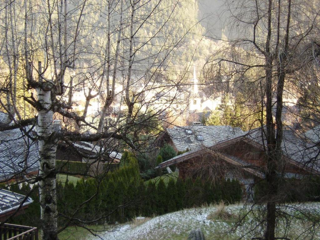 Studio Les Drus / Studio Du Brevent Chamonix Room photo