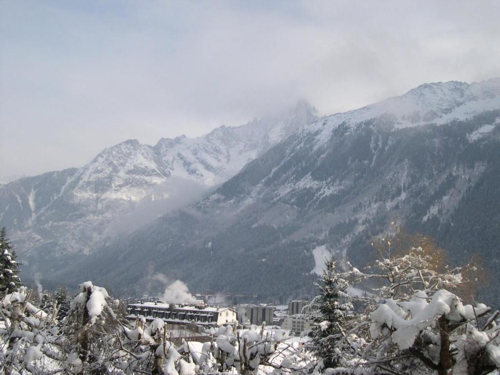 Studio Les Drus / Studio Du Brevent Chamonix Room photo