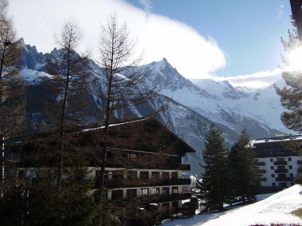 Studio Les Drus / Studio Du Brevent Chamonix Room photo